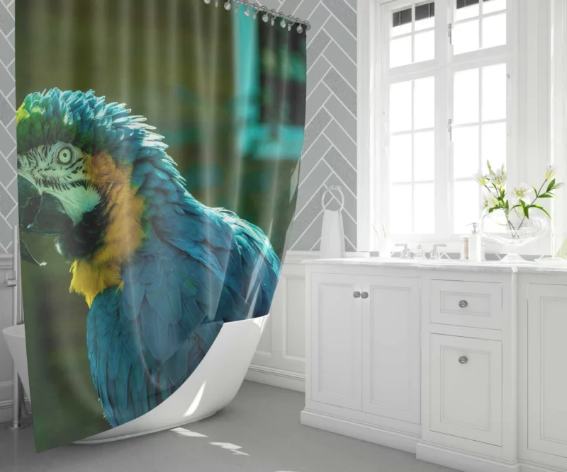 Blue-and-yellow Macaw Vibrant Portrait Parrot Elegance Shower Curtain 1