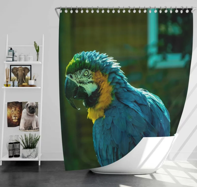 Blue-and-yellow Macaw Vibrant Portrait Parrot Elegance Shower Curtain