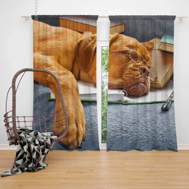 Bookworm Bordeaux Dogue de Bordeaux Curtain