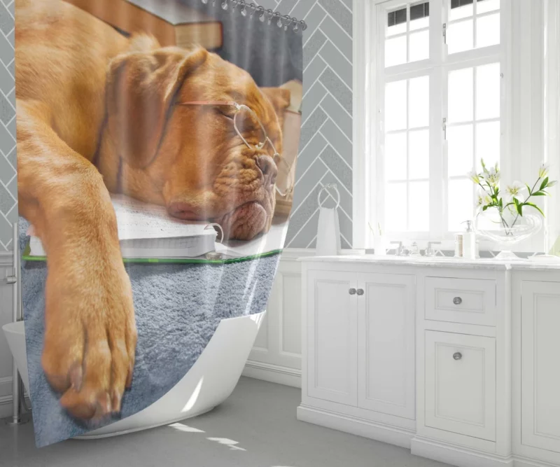 Bookworm Bordeaux Dogue de Bordeaux Shower Curtain 1