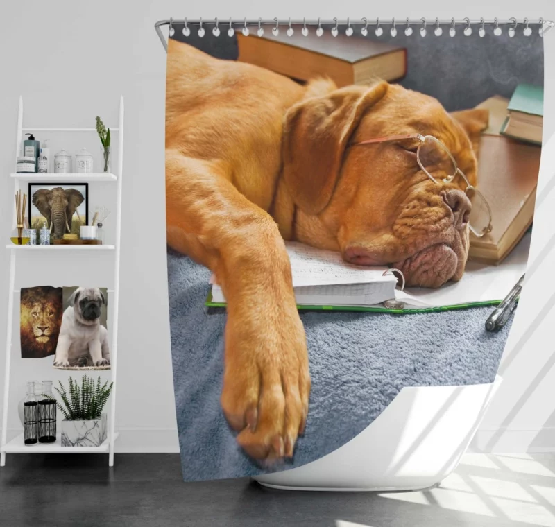 Bookworm Bordeaux Dogue de Bordeaux Shower Curtain