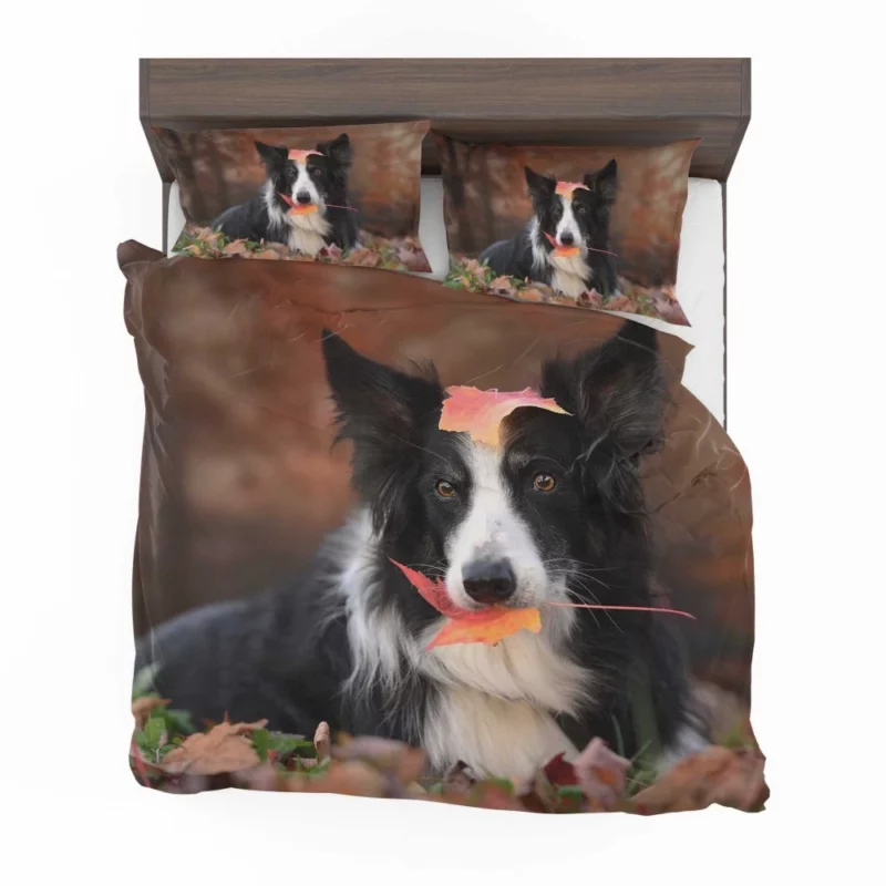 Border Collie Amidst Autumn Leaves Bedding Set 1