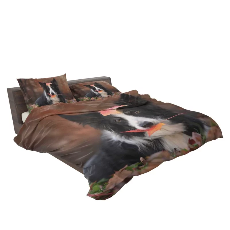 Border Collie Amidst Autumn Leaves Bedding Set 2