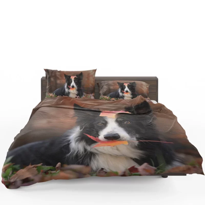 Border Collie Amidst Autumn Leaves Bedding Set