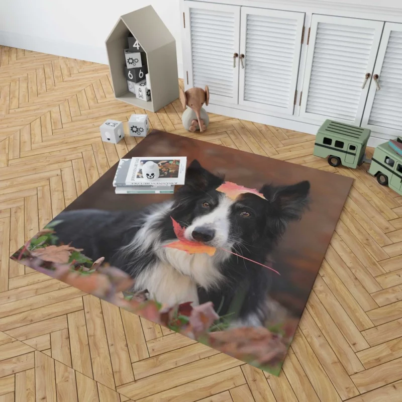 Border Collie Amidst Autumn Leaves Rug 1