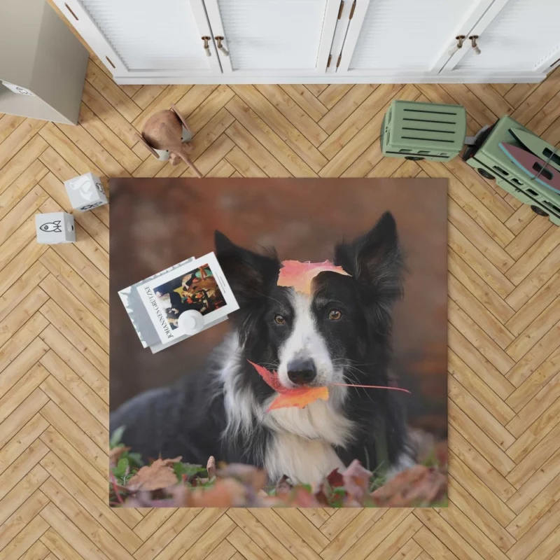 Border Collie Amidst Autumn Leaves Rug