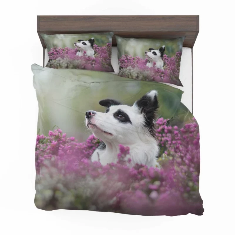 Border Collie Amidst Blooms Playful Energy Bedding Set 1