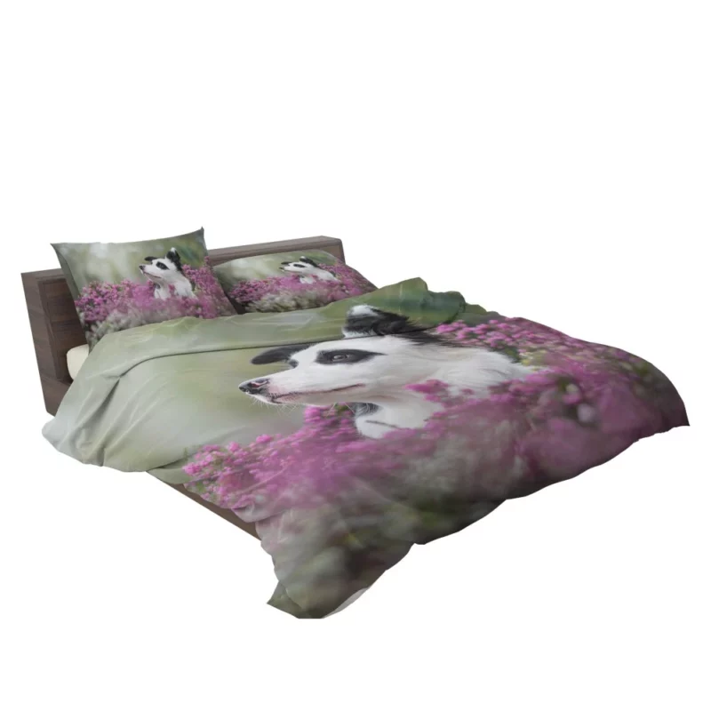 Border Collie Amidst Blooms Playful Energy Bedding Set 2