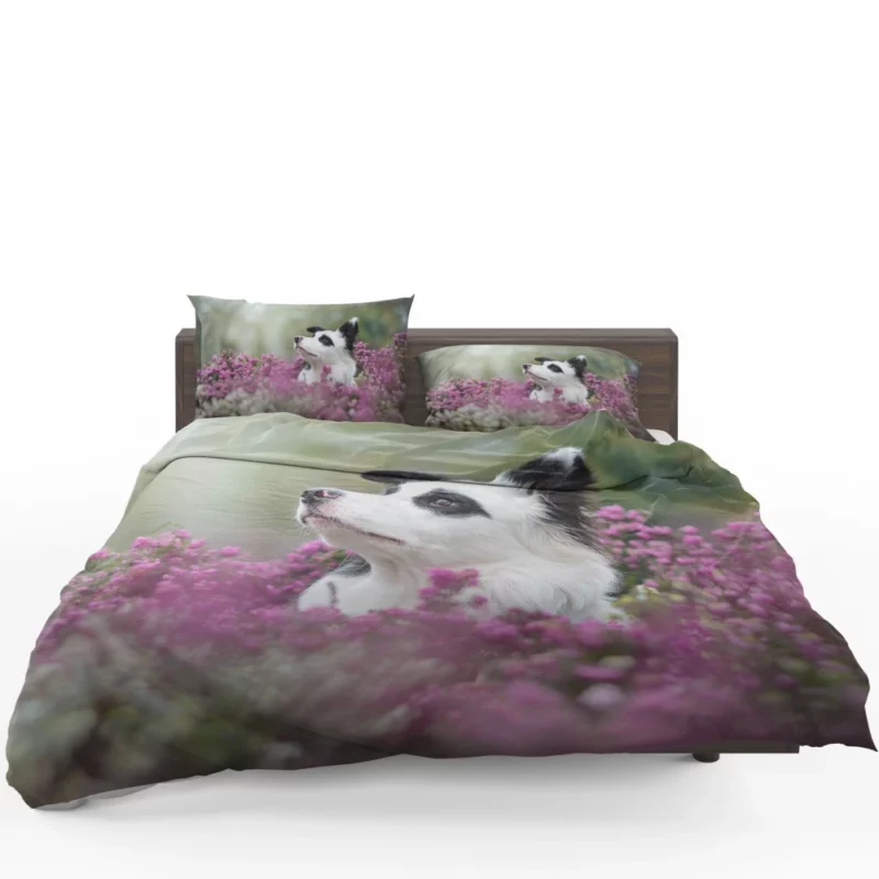 Border Collie Amidst Blooms Playful Energy Bedding Set