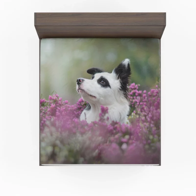 Border Collie Amidst Blooms Playful Energy Fitted Sheet 1