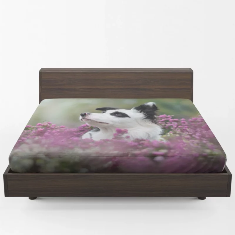 Border Collie Amidst Blooms Playful Energy Fitted Sheet