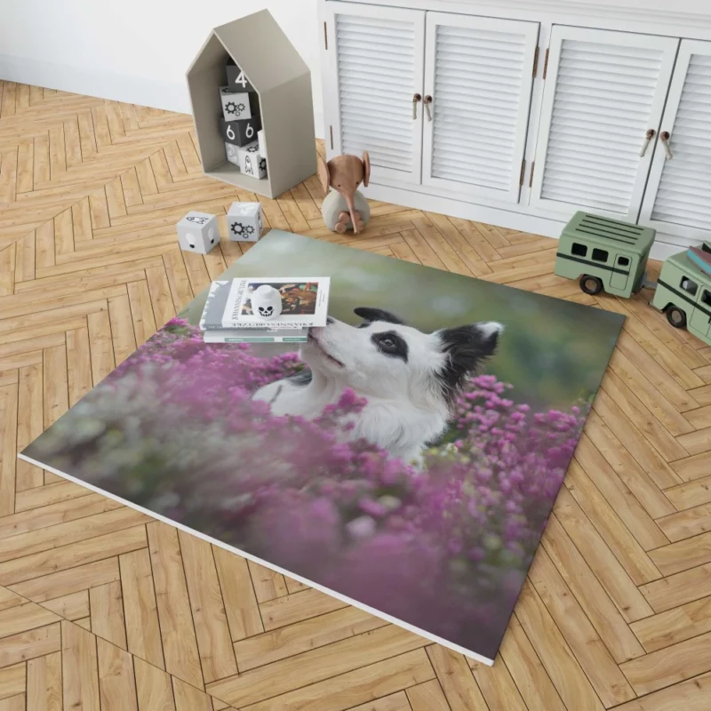 Border Collie Amidst Blooms Playful Energy Rug 1