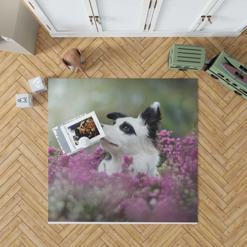 Border Collie Amidst Blooms Playful Energy Rug