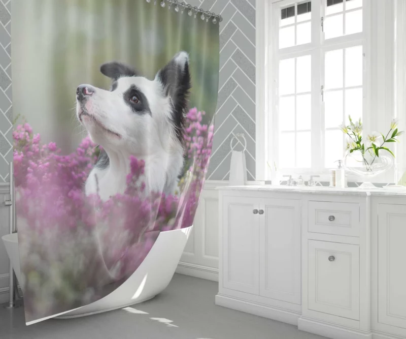 Border Collie Amidst Blooms Playful Energy Shower Curtain 1