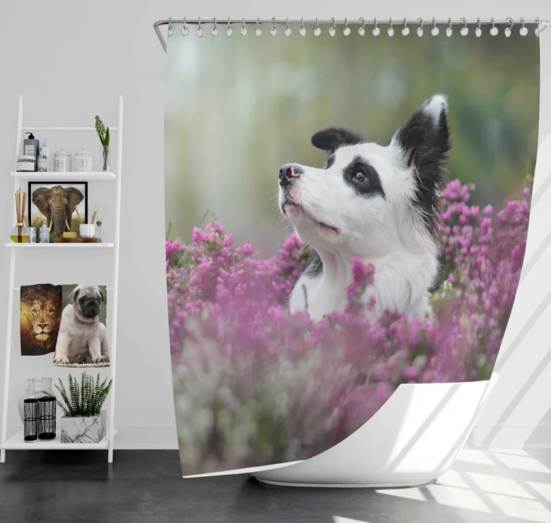 Border Collie Amidst Blooms Playful Energy Shower Curtain