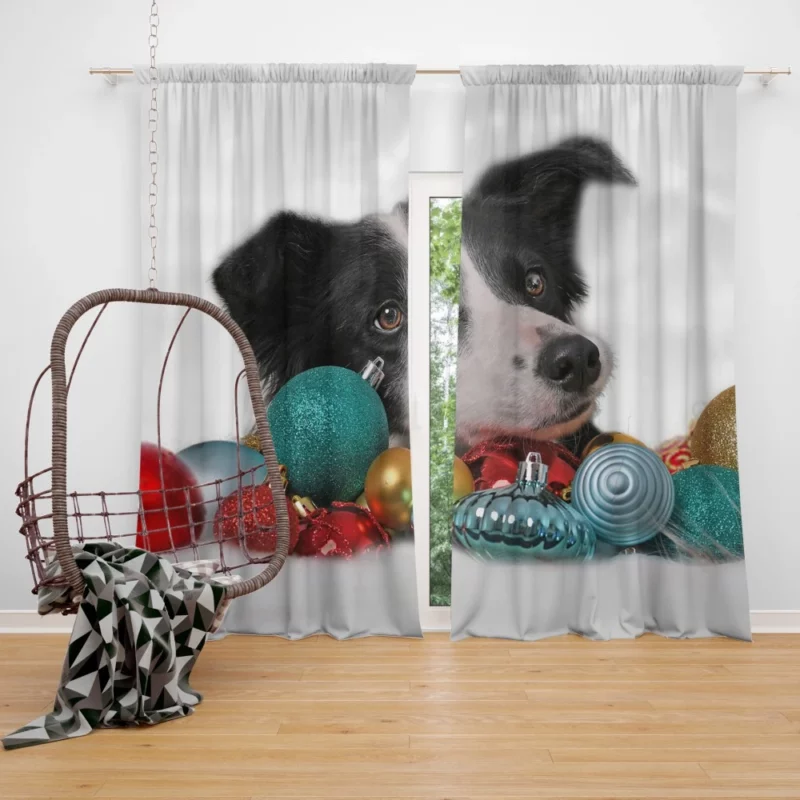 Border Collie Amidst Christmas Baubles Curtain