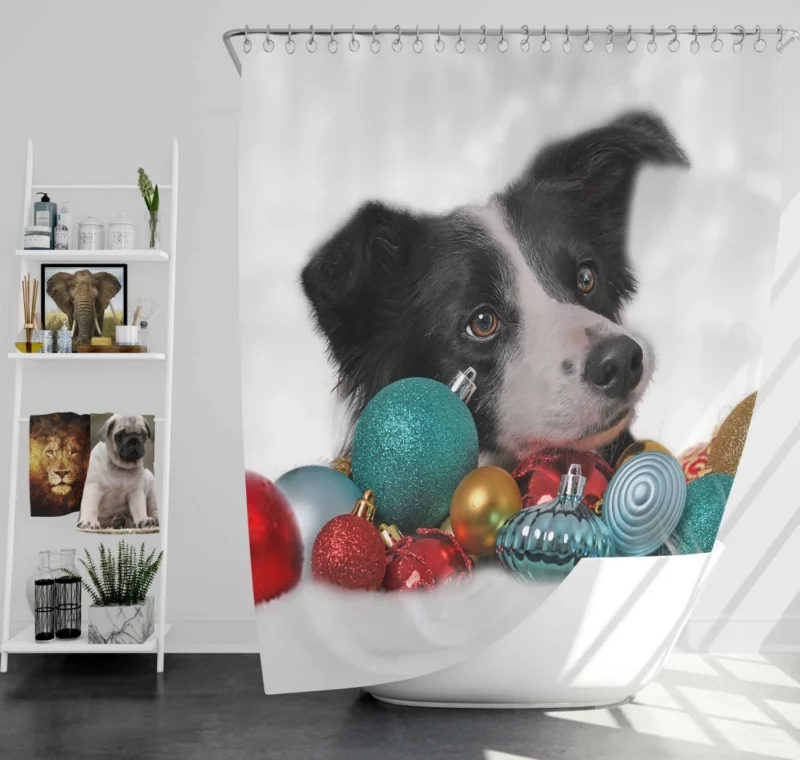 Border Collie Amidst Christmas Baubles Shower Curtain