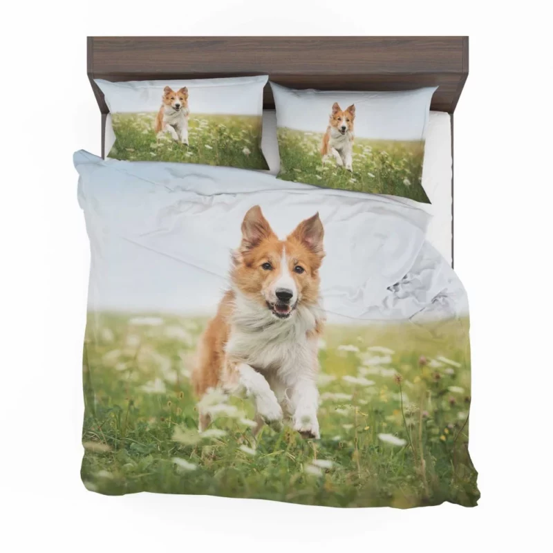 Border Collie Amidst Field Energetic Charm Bedding Set 1