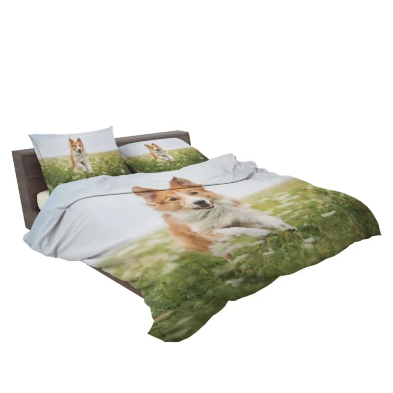 Border Collie Amidst Field Energetic Charm Bedding Set 2