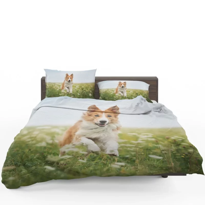 Border Collie Amidst Field Energetic Charm Bedding Set