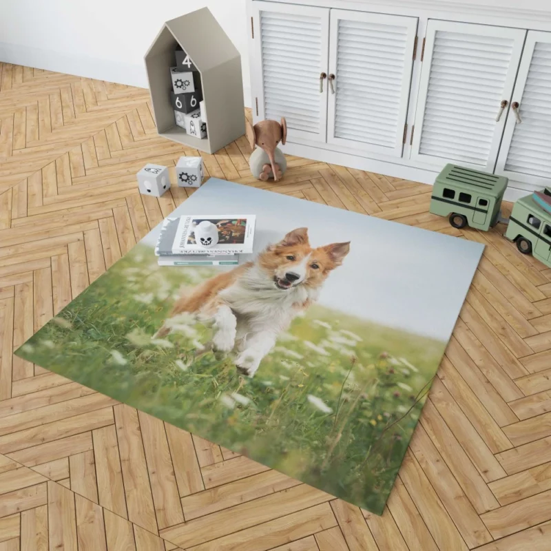 Border Collie Amidst Field Energetic Charm Rug 1