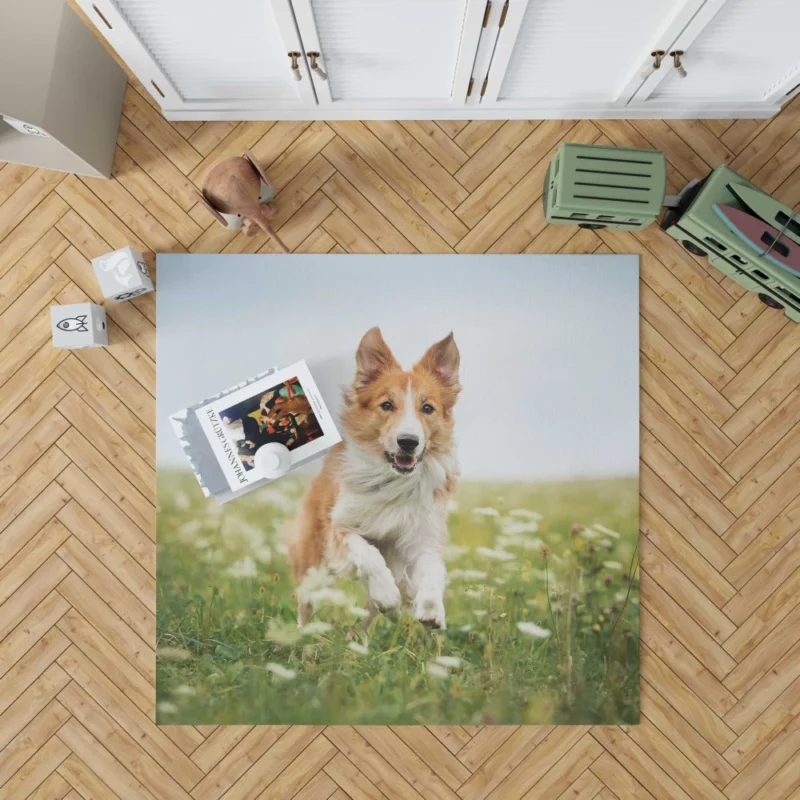 Border Collie Amidst Field Energetic Charm Rug