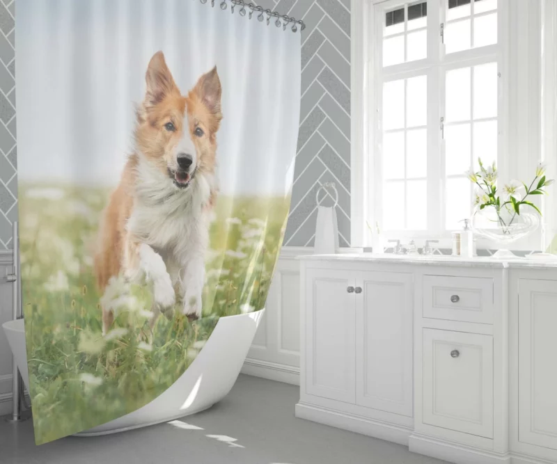 Border Collie Amidst Field Energetic Charm Shower Curtain 1