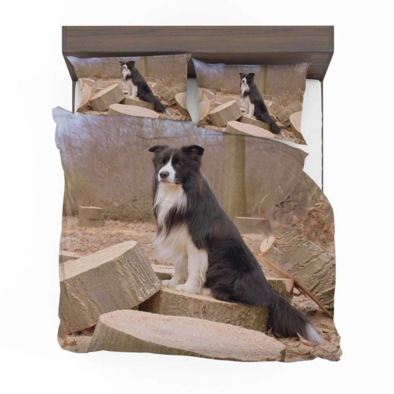 Border Collie Amidst Firewood Bedding Set 1