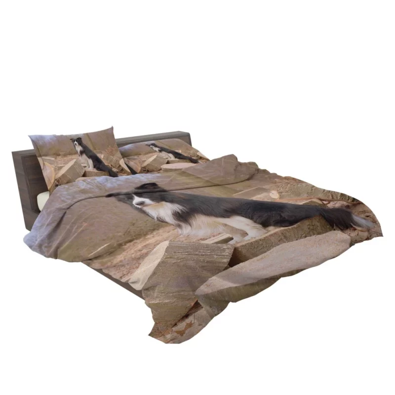 Border Collie Amidst Firewood Bedding Set 2