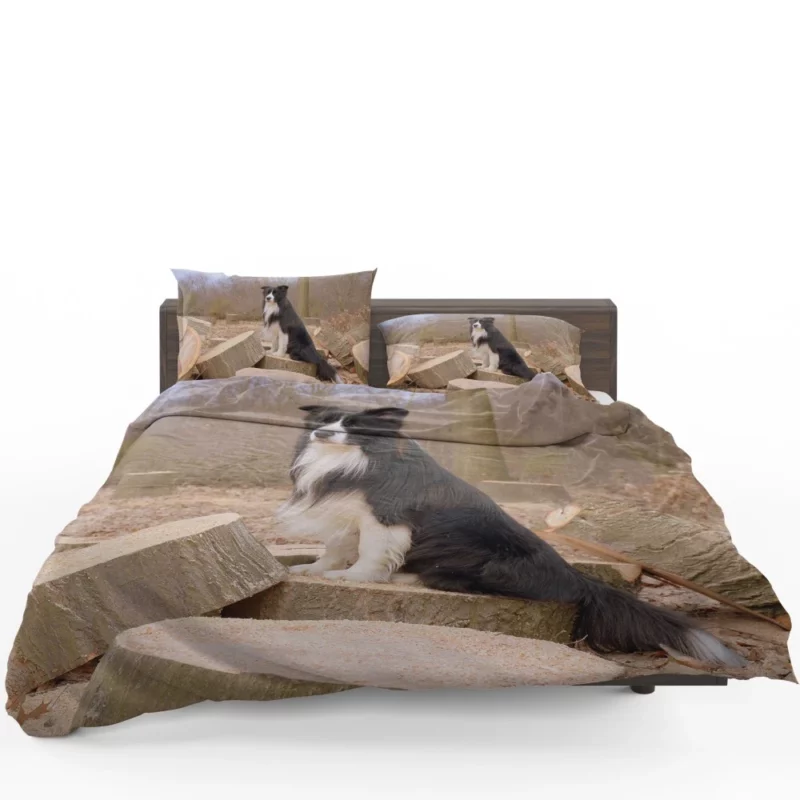 Border Collie Amidst Firewood Bedding Set