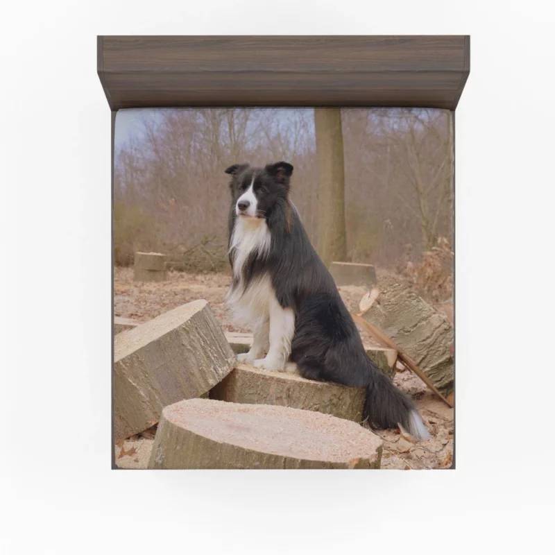 Border Collie Amidst Firewood Fitted Sheet 1