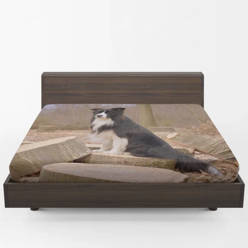 Border Collie Amidst Firewood Fitted Sheet