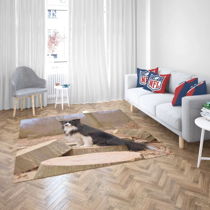 Border Collie Amidst Firewood Rug 2