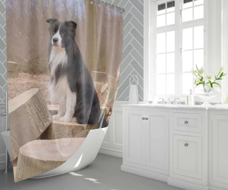 Border Collie Amidst Firewood Shower Curtain 1