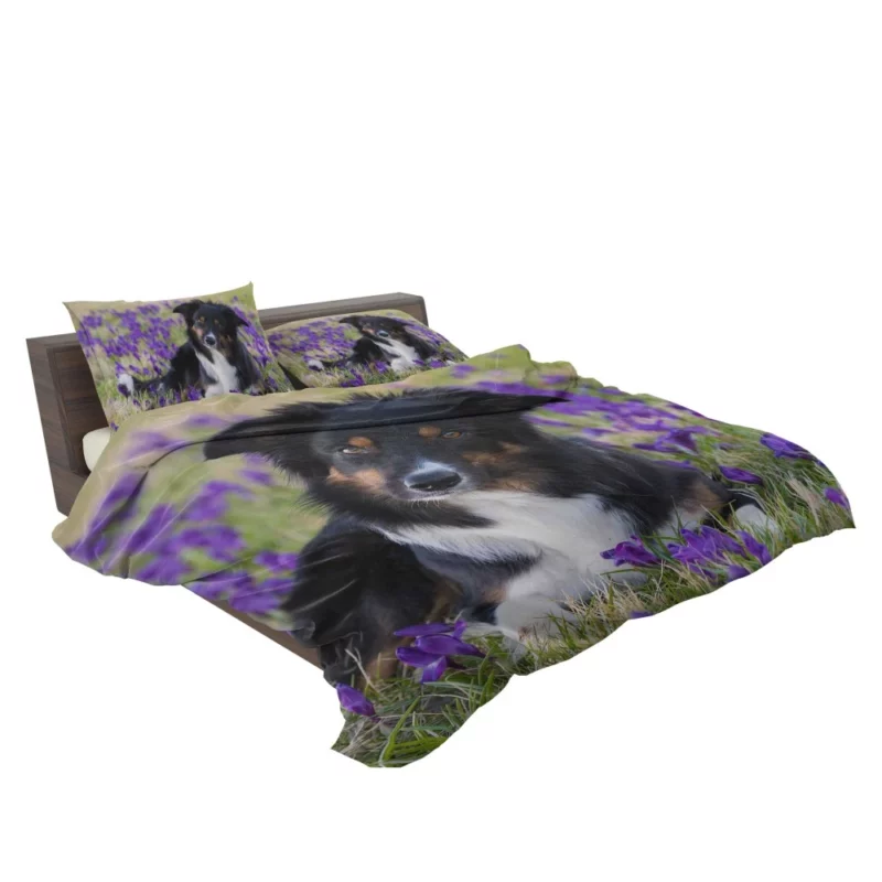 Border Collie Amidst Purple Crocus Bedding Set 2