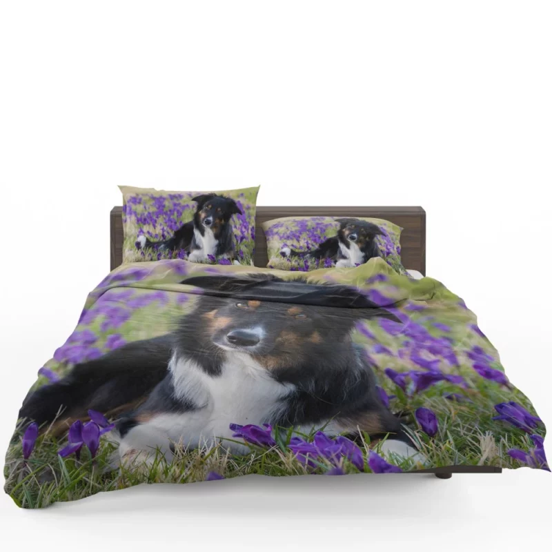 Border Collie Amidst Purple Crocus Bedding Set