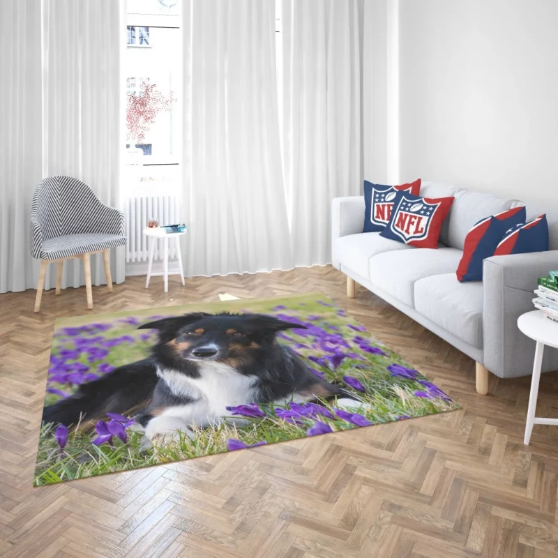 Border Collie Amidst Purple Crocus Rug 2