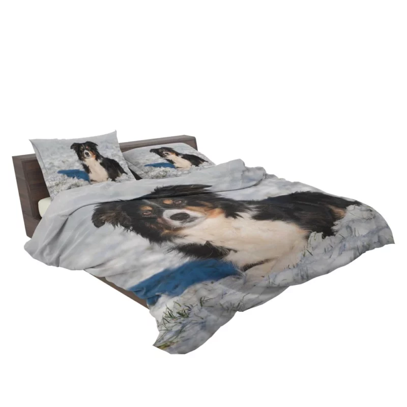 Border Collie Amidst Snow Winter Whimsy Bedding Set 2