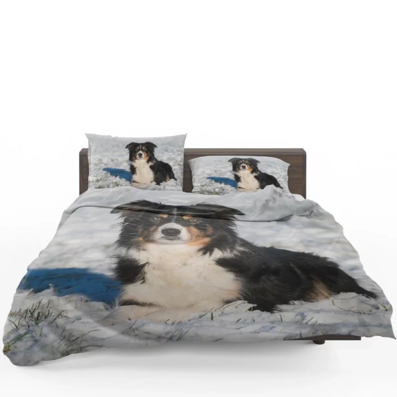 Border Collie Amidst Snow Winter Whimsy Bedding Set