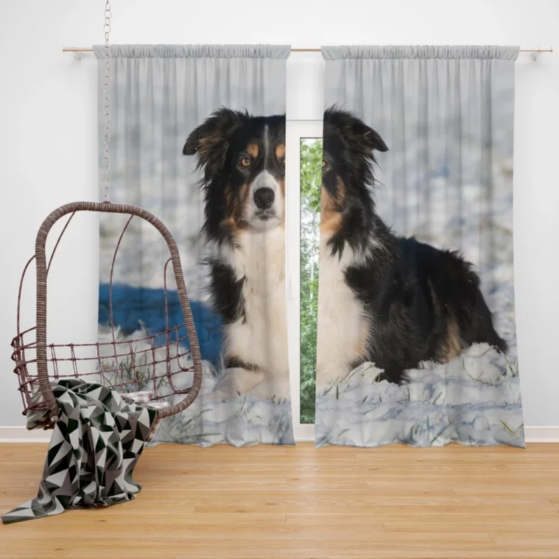 Border Collie Amidst Snow Winter Whimsy Curtain