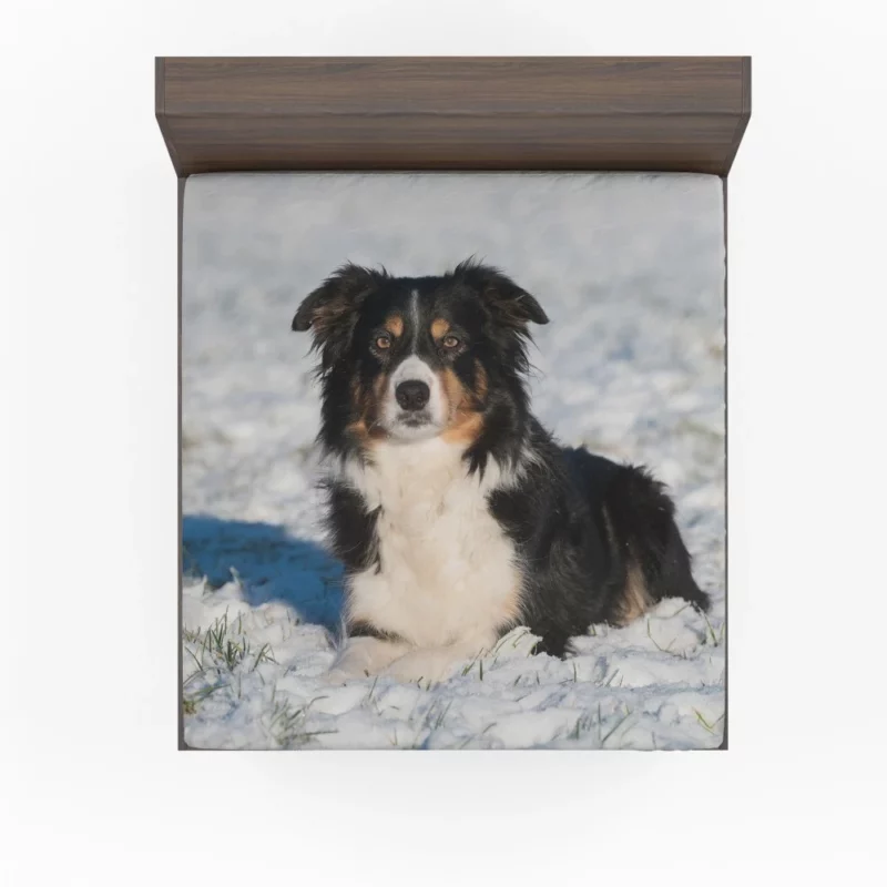 Border Collie Amidst Snow Winter Whimsy Fitted Sheet 1