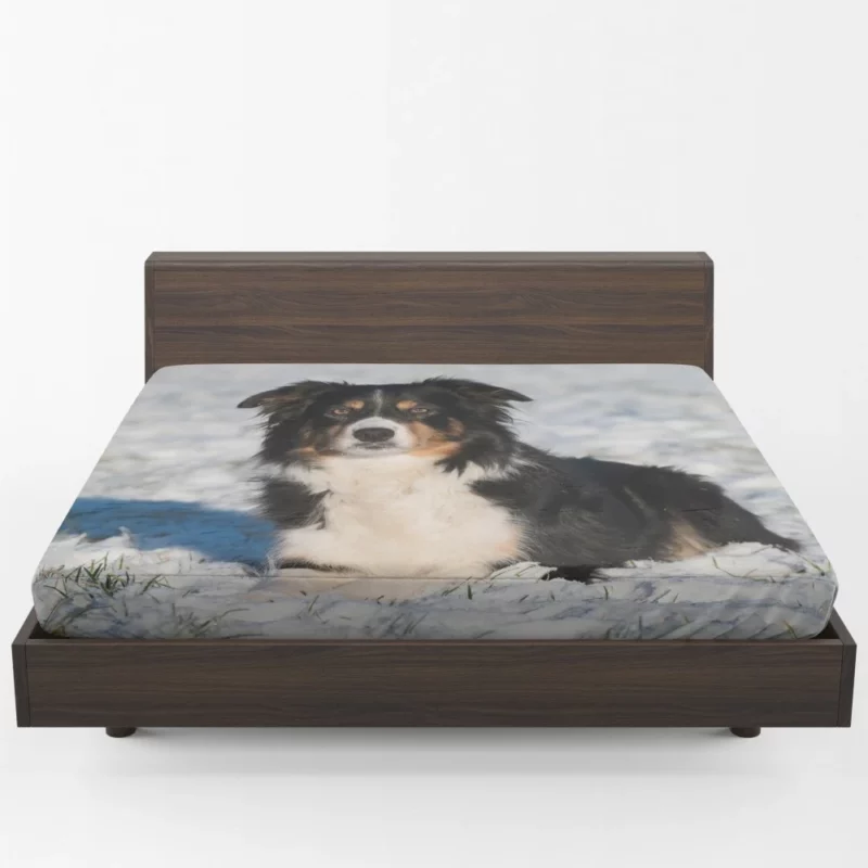 Border Collie Amidst Snow Winter Whimsy Fitted Sheet