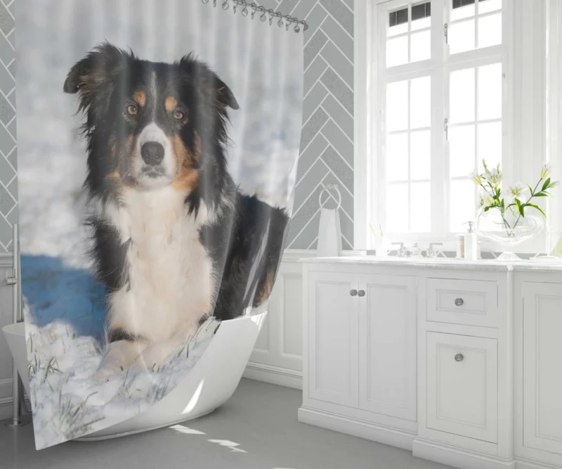 Border Collie Amidst Snow Winter Whimsy Shower Curtain 1