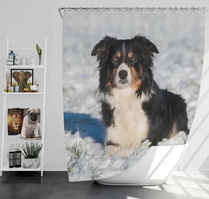 Border Collie Amidst Snow Winter Whimsy Shower Curtain