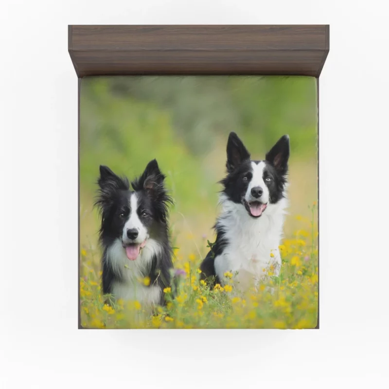 Border Collie Amidst Yellow Bloom Fitted Sheet 1