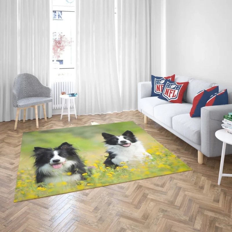 Border Collie Amidst Yellow Bloom Rug 2