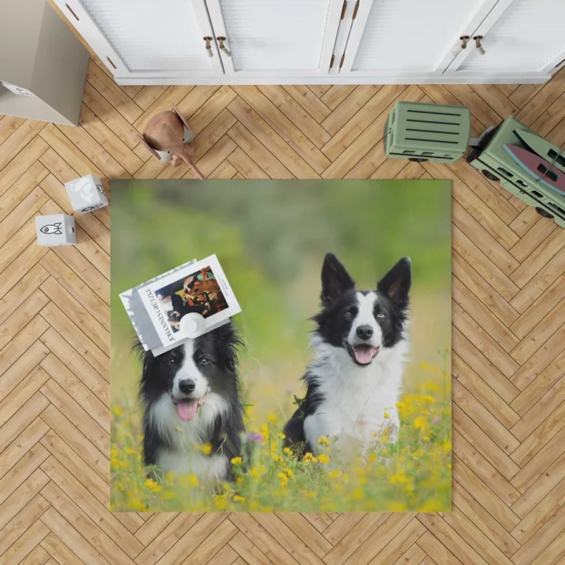 Border Collie Amidst Yellow Bloom Rug