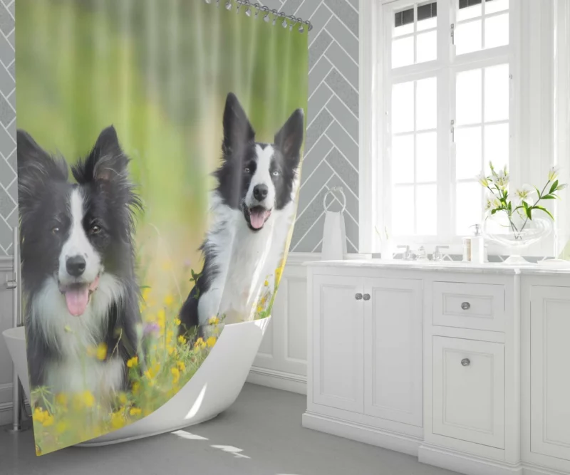 Border Collie Amidst Yellow Bloom Shower Curtain 1