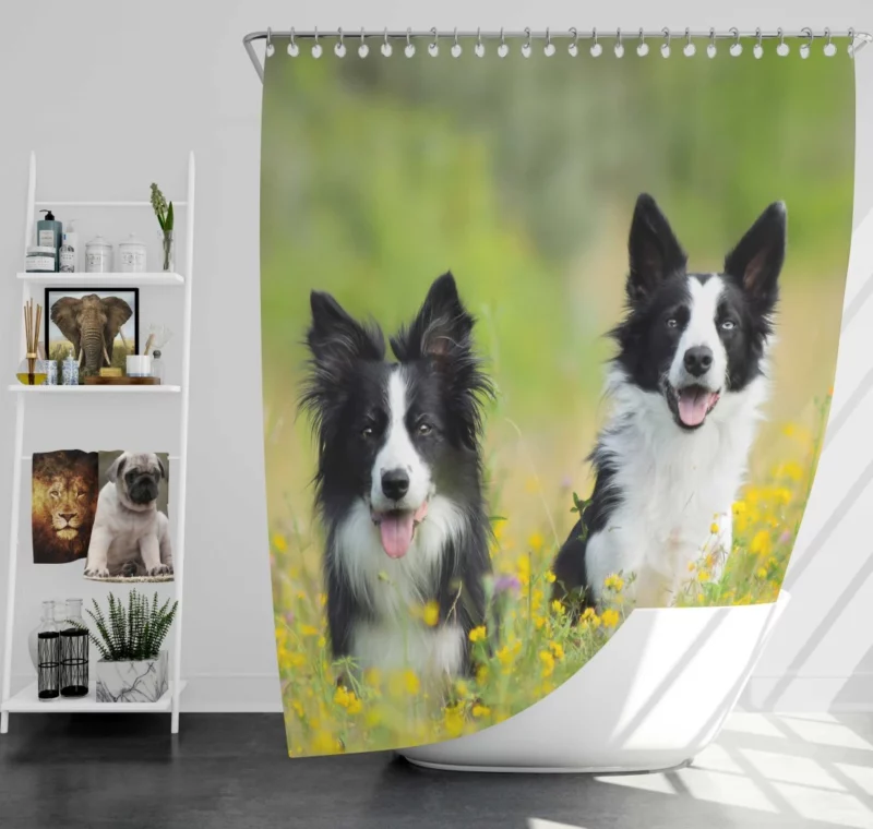 Border Collie Amidst Yellow Bloom Shower Curtain