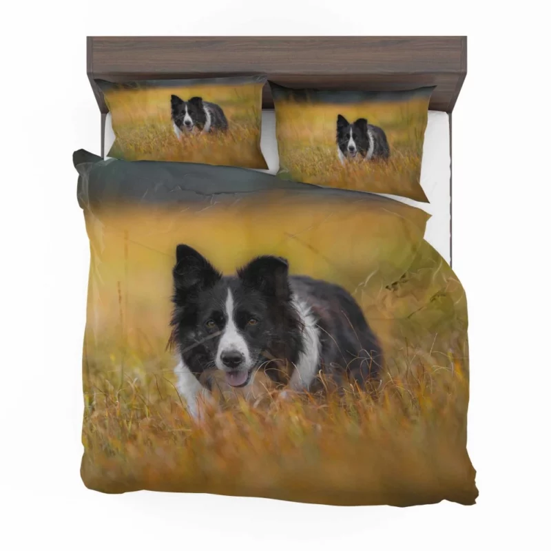 Border Collie Autumn Meadow Run Bedding Set 1